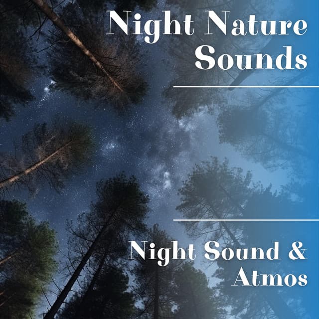 Night Sound & Atmos - Night Nature Sounds