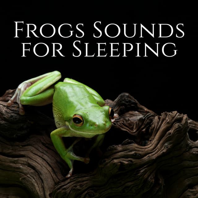 Frogs Sounds for Sleeping - Nature Music Sanctuary