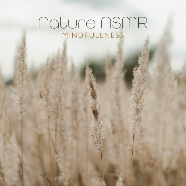 Nature ASMR: Mindfullness - Ayurveda