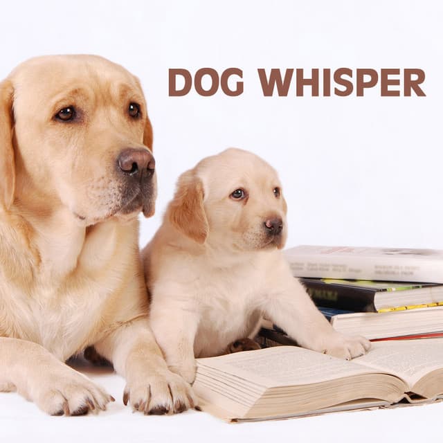 Dog Whisper: Relaxation Music and Calming Music for Dog, Whisperer in Wildlife - Neuromancer