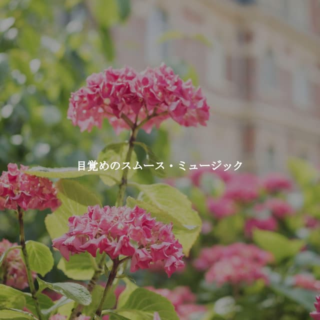 目覚めのスムース・ミュージック - Jazz for Working Background Music