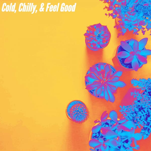 Cold, Chilly, & Feel Good - Chill Out Jazz Radio