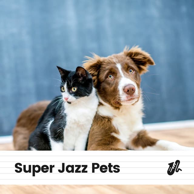 Super Jazz Pets - Jazz Music Therapy for Cats