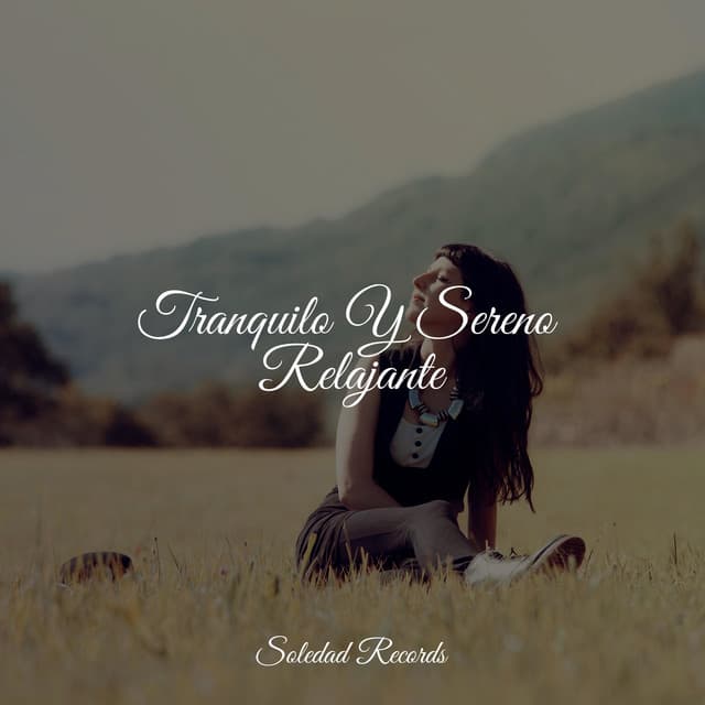 Tranquilo Y Sereno Relajante - Sonidos De Lluvia y Tormentas