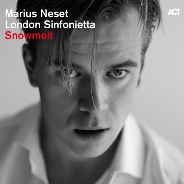 Snowmelt - Marius Neset