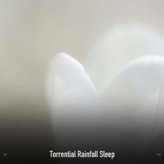 !!!!" Torrential Rainfall Sleep "!!!! - Sonidos De Truenos y Lluvia
