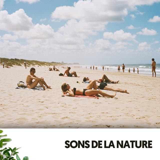 Sons de la Nature: Sérénade des Vagues - Dog Relaxation