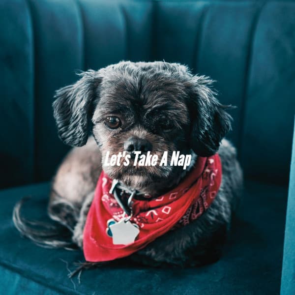 Let's Take A Nap - Cafe Smooth Jazz Radio