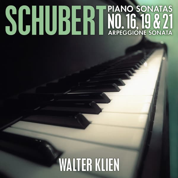 Schubert: Piano Sonatas No. 16, 19 & 21 - Arpeggione Sonata - Franz Schubert