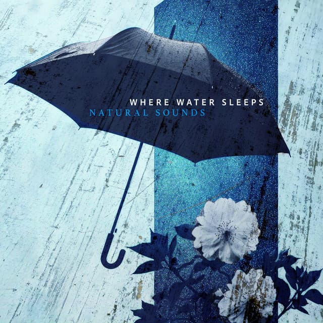 Where Water Sleeps - Natural Sounds
