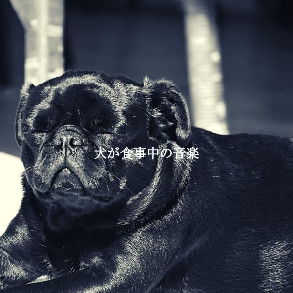 犬が食事中の音楽 - Dinner & Instrumental Jazz