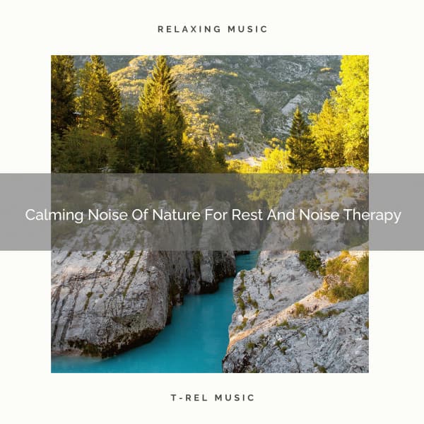 2020 Best: Calming Noise Of Nature For Rest And Noise Therapy - Soft Water Streams Sounds