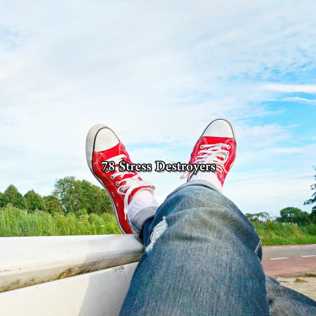 78 Stress Destroyers - Hypnosis