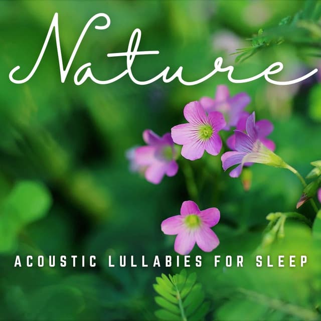 Soothing Slumbers: Acoustic Lullabies for Sleep - Sleepy Times