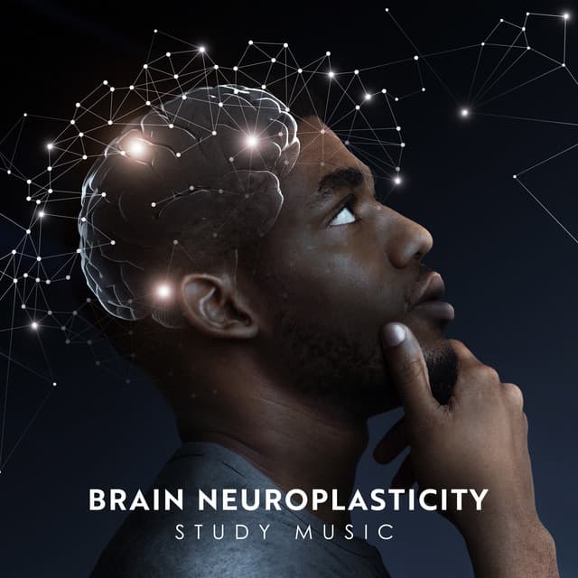 Brain Neuroplasticity Study Music - Brain Study Music Guys