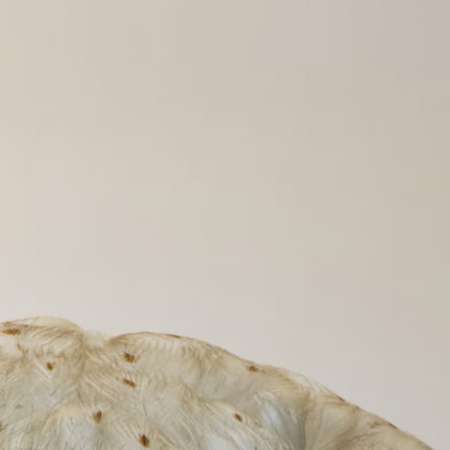 365 Complete Works 8 - Aidan O'Rourke