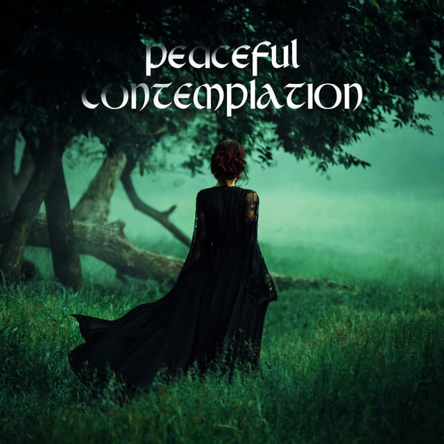 Peaceful Contemplation: Slow and Gentle Celtic Instrumental Music That Will Soothe Your Mind and Soul - Peaceful Sounds Zone
