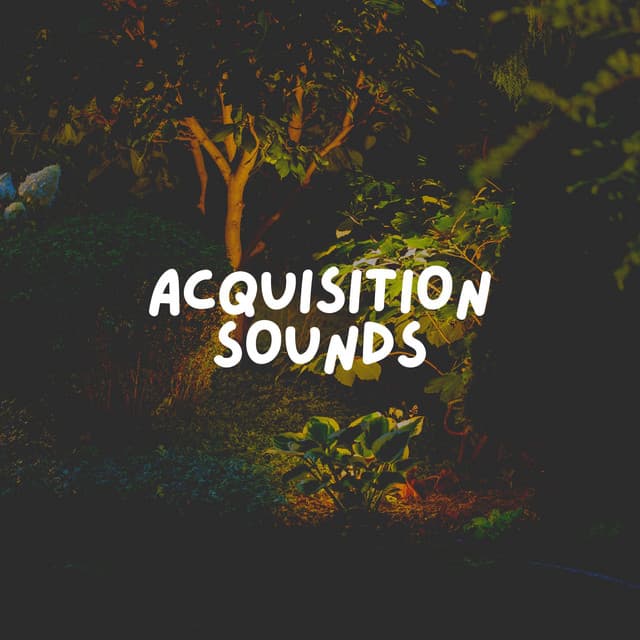 Acquisition Sounds - Sleep Music Dreams