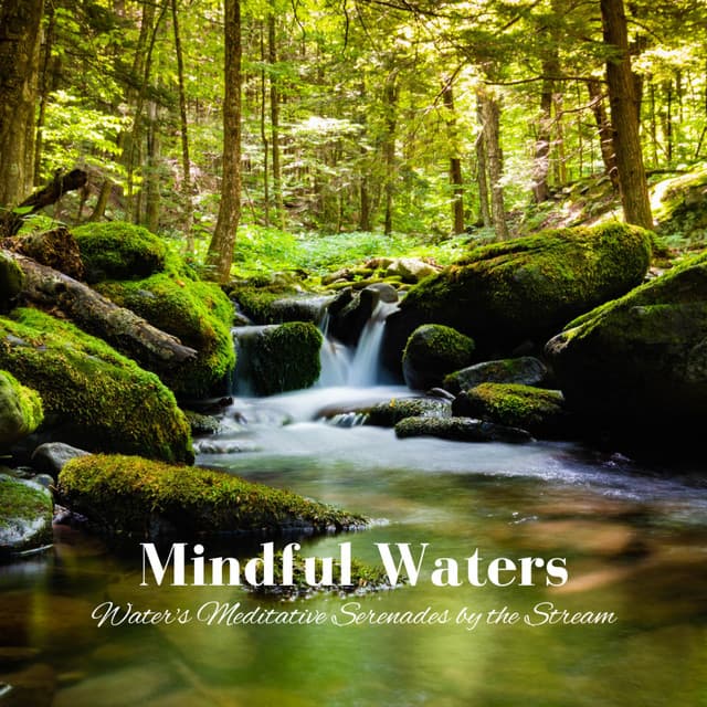 Mindful Waters: Water's Meditative Serenades by the Stream - Naturally Recurring