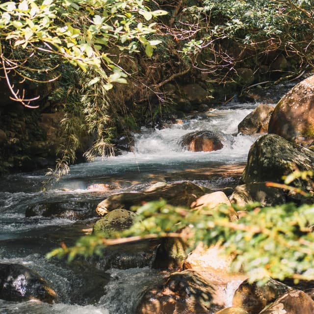 Bookish Brooks: Chill Music Water Reading - Waterfall Sounds