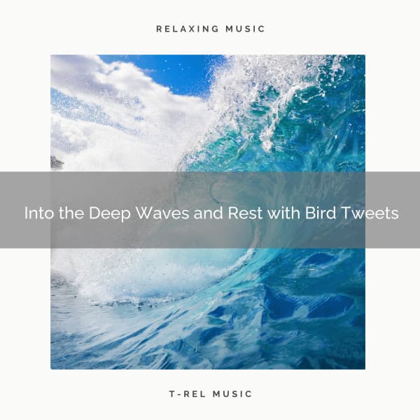 2020 Best: Into the Deep Waves and Rest with Bird Tweets - Soothing Ocean Waves Universe