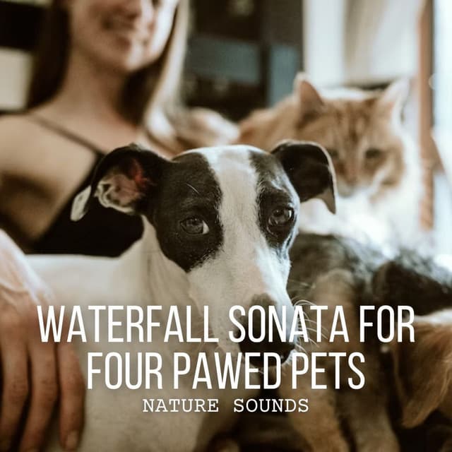 Nature Sounds: Waterfall Sonata for Four Pawed Pets - Water FX
