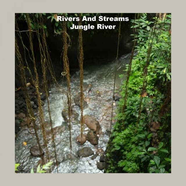 Jungle River - Rivers and Streams