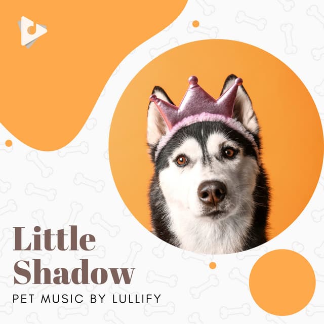 Little Shadow - Pet Music by Lullify