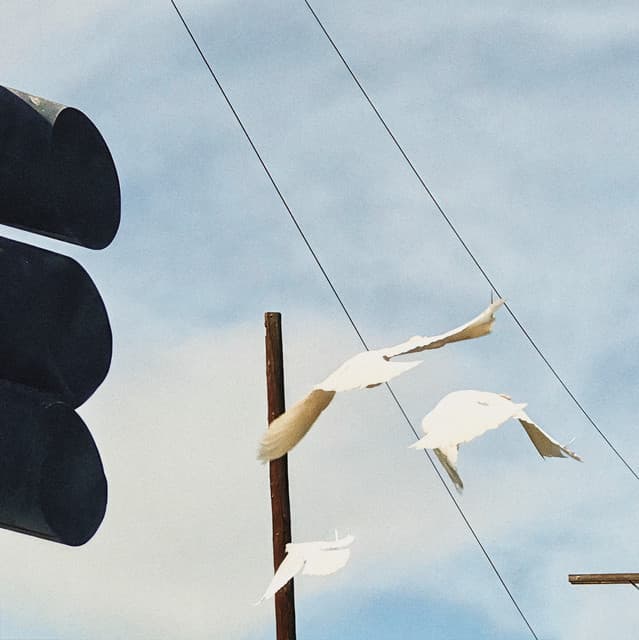 Estradas - Nídia & Valentina