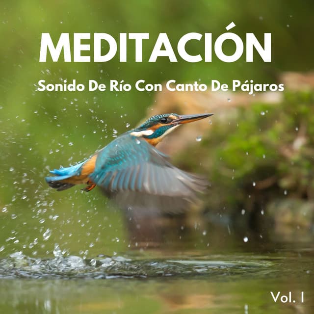 Meditación: Sonido De Río Con Canto De Pájaros Vol. 1 - Agua Mantra