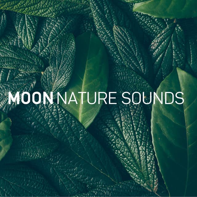 Moon Nature Sounds