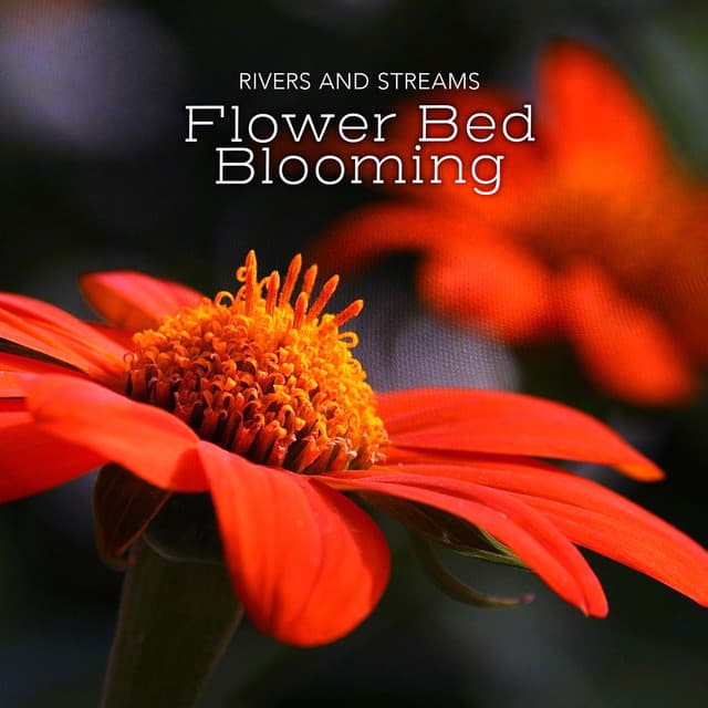 Flower Bed Blooming - Rivers and Streams