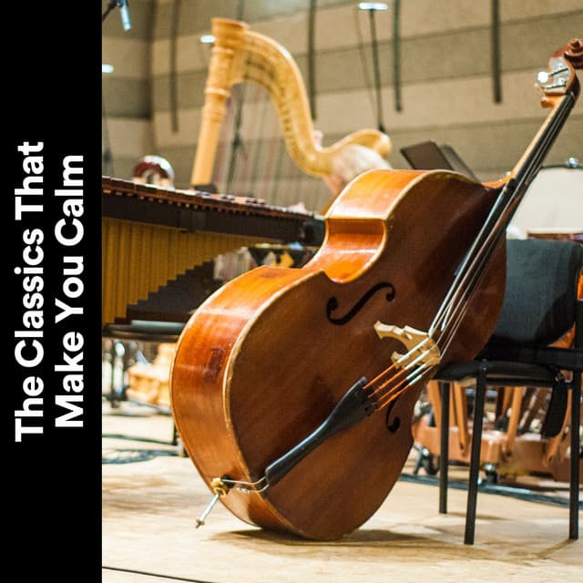 The Classics That Make You Calms - Relaxing Classical
