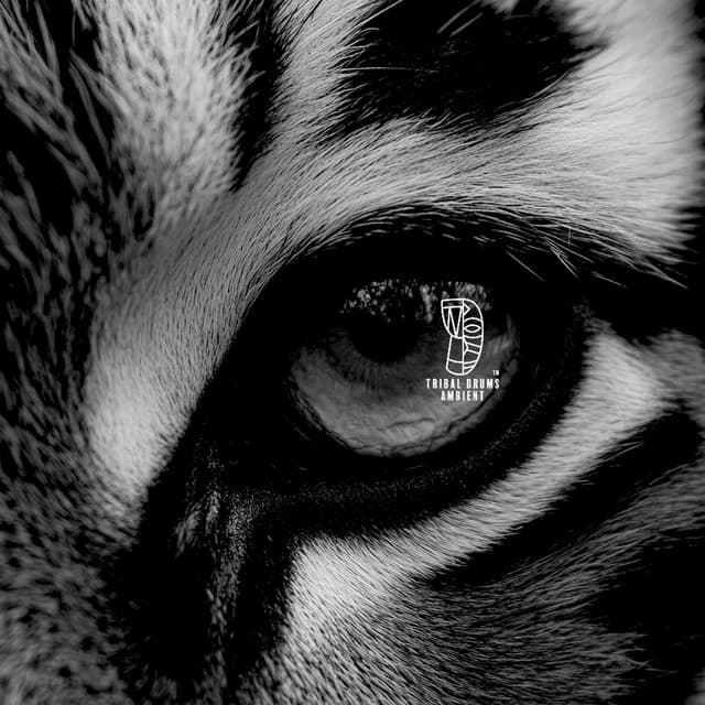 Whispers of the Ancient Earth - Tribal Drums Ambient