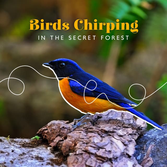 Birds Chirping in the Secret Forest: Therapy Music for Stress Relief, Relaxation & Meditation - Calm Singing Birds Zone