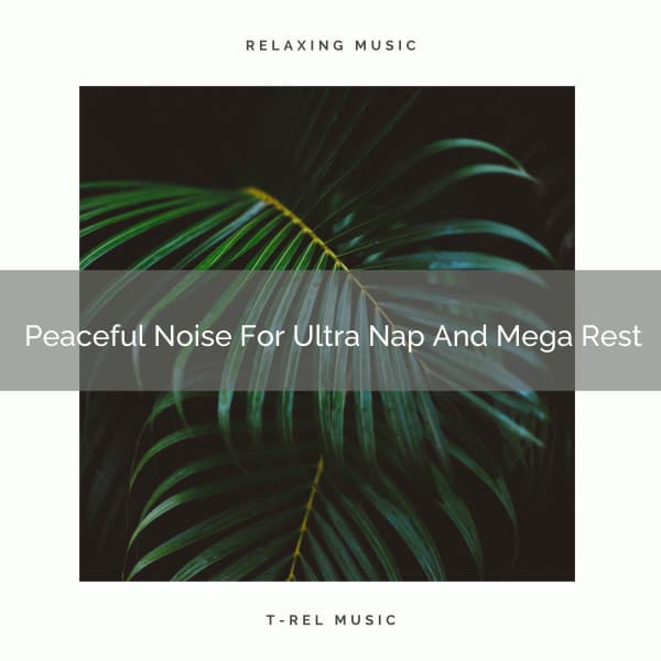 Peaceful Noise For Ultra Nap And Mega Rest - Sleepy Noise