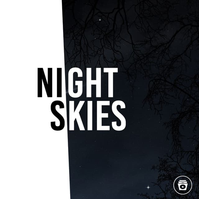 Night Skies - Rainforest Sounds