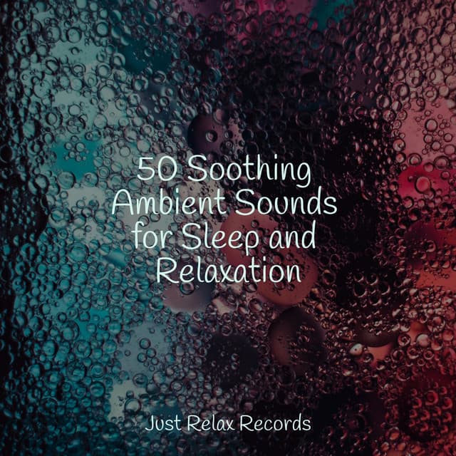 50 Soothing Ambient Sounds for Sleep and Relaxation - Nursery Rhymes Club