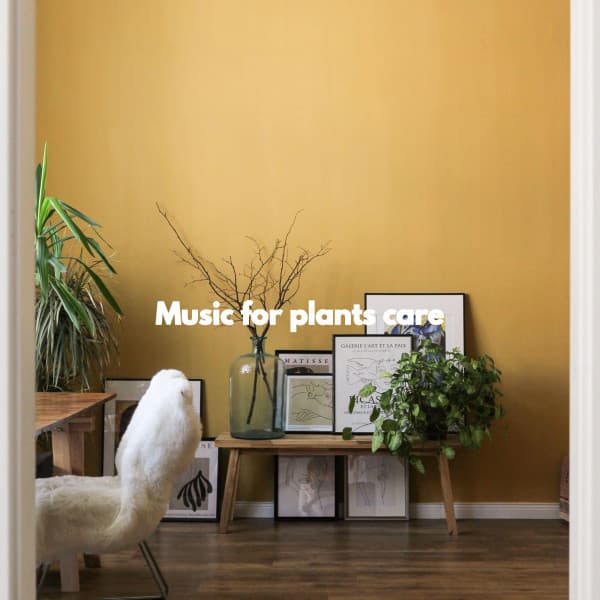 Music for plants care - Piano Bar Jazz