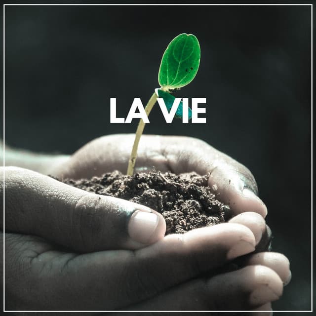La Vie - Sons de la nature