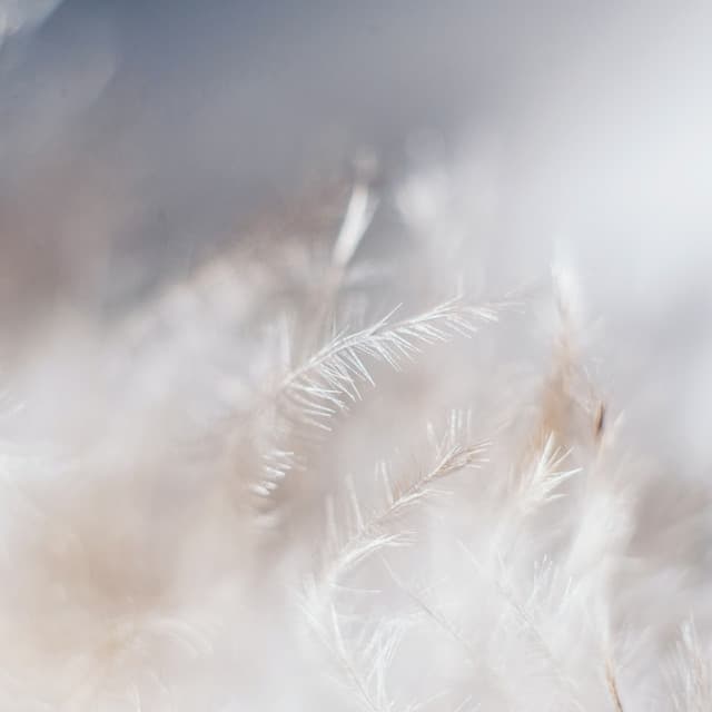 1 Night With White Noise: Dreamy Drift - White Noise