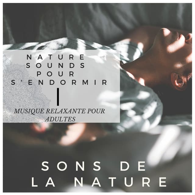 Sons de la Nature - Nature sounds pour s'endormir, musique relaxante pour adultes - Musique Relaxante et Détente Maestro