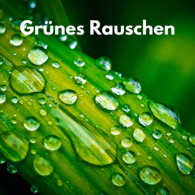 Grünes Rauschen - Grünes Rauschen