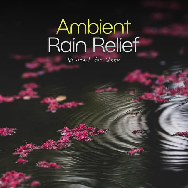 Ambient Rain Relief - Rainfall For Sleep