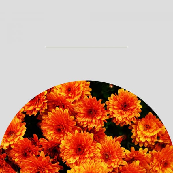 Personal Wellness - Lunch Time Music