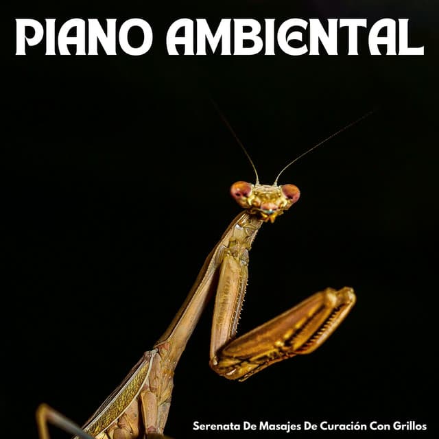 Piano Ambiental: Serenata De Masajes De Curación Con Grillos - Sonidos ambientales de la naturaleza