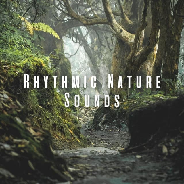 Rhythmic Nature Sounds - Ambient Nature Sounds