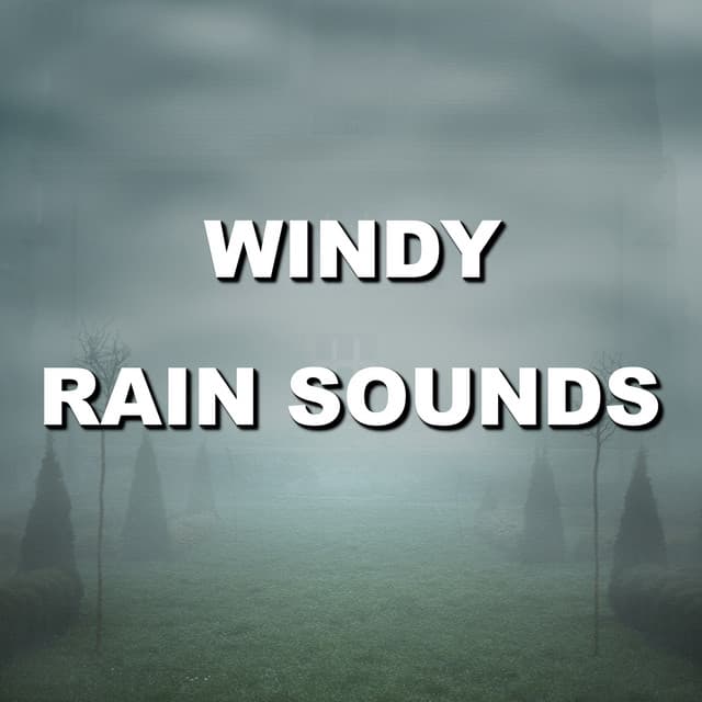 Windy Rain Sounds - Wind and Rain Sounds