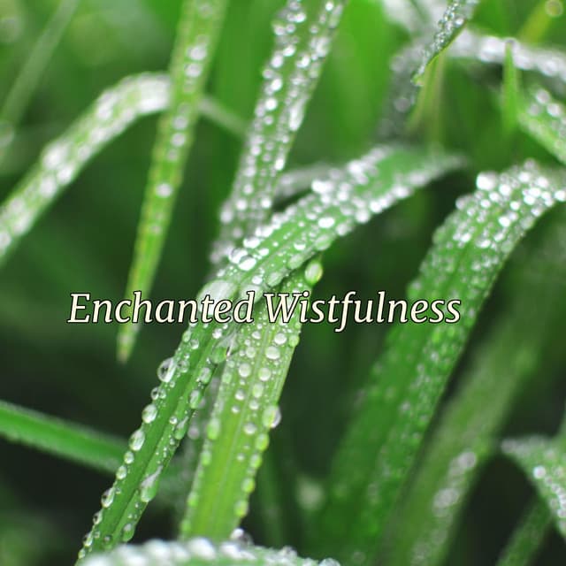 Enchanted Wistfulness - Minds United