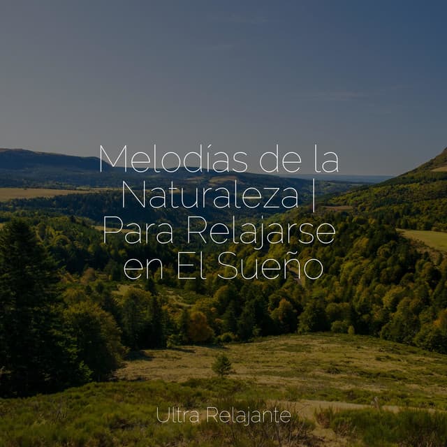 Dulces Sueños
